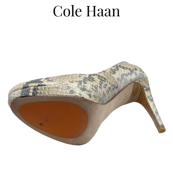 Cole Haan • Chelsea Platform Heels • Python • 7 US • EUC • Dust Bag + Heel Tips - Picture 13 of 16